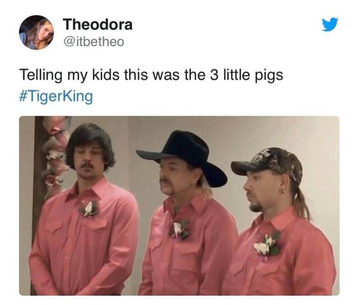 3 little pigs tiger king meme gay wedding - Good/Bad Marketing