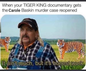 Carole Baskin murder Trial tiger king meme