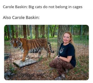 Carole baskins cages tiger king meme