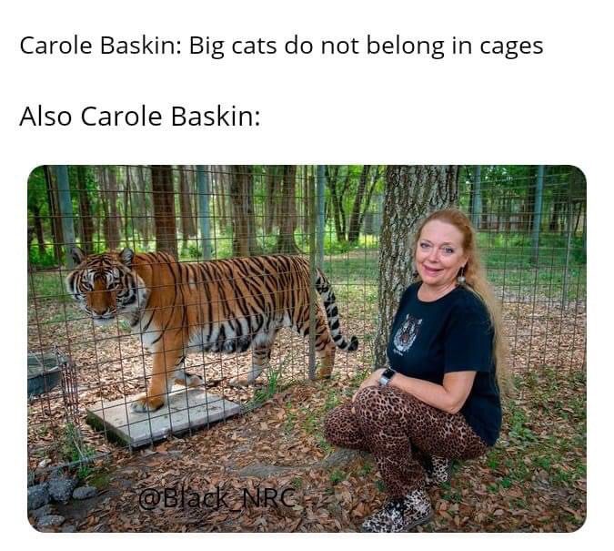 Carole Baskins Cages Tiger King Meme Good Bad Marketing