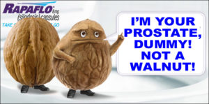 Wally the Prostate Mascot Walnut