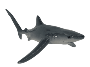 Yowie BLUE SHARK
