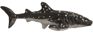 Yowie ranger WHALE SHARK