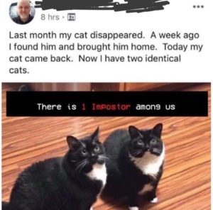 among us lost cat meme imposter