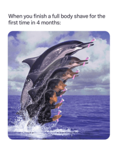 animorphs shaving dolphin meme
