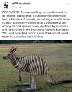 april fools wwf australia zerangaroo