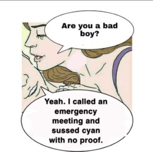 are you a bad boy among us