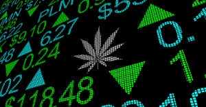 cannabis stock market