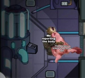 cat self report meme among us