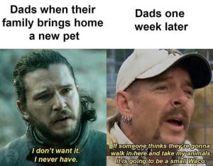 Dad thermostat tiger king meme