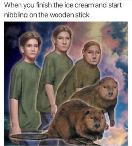 eating wooden stick of ice cream