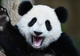 bad customer service