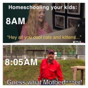 hey all you cool cats and kittens homeschooling kids meme