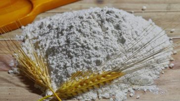 Flour with wheat