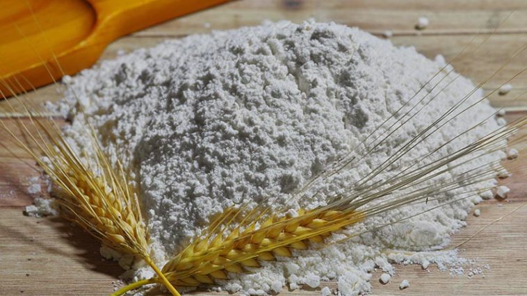 Flour with wheat