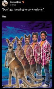 jumping to conclusions animorph meme