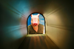 junk mail direct letterbox spam