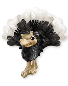 kinder surprise natoons ostrich