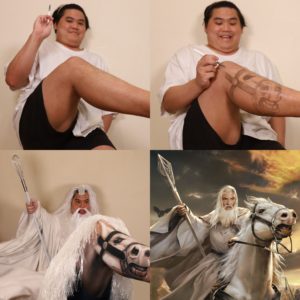 low cost cosplay gandalf shadowfax