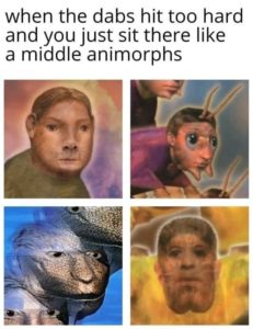 middle animorphs meme