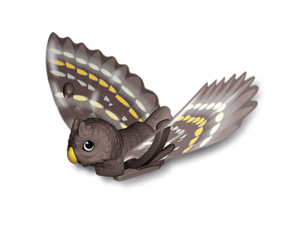 owl kinder surprise natoons south american toy