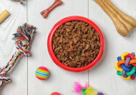 pet food and toys