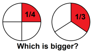 quarter vs third which is bigger