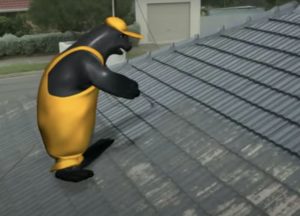 A seal inspecting the roof.