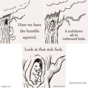 seo squirrel meme