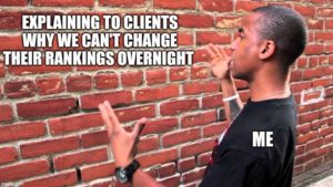 seo talking to a brick wall