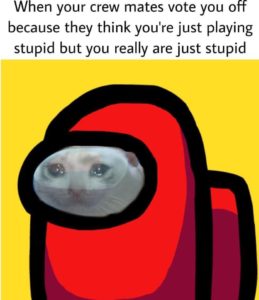 stupid among us meme