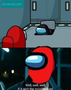 the boys the invisible cunt among us meme