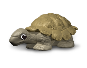 tortoise turtle kinder surprise natoons south american toy