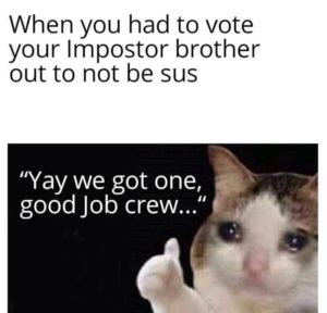vote your imposter brother