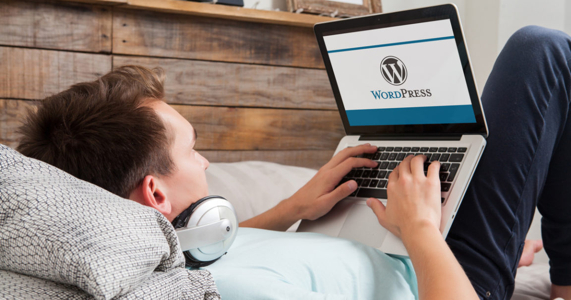 wordpress 3.3.1 article