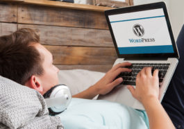 wordpress 3.3.1 article