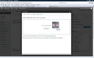 wordpress 3.3.1 drag and drop